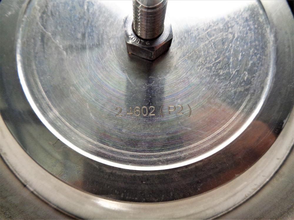 Protego 3" 150# Vacuum Relief Vent Valve SV/E-1-0-80, Stainless Steel